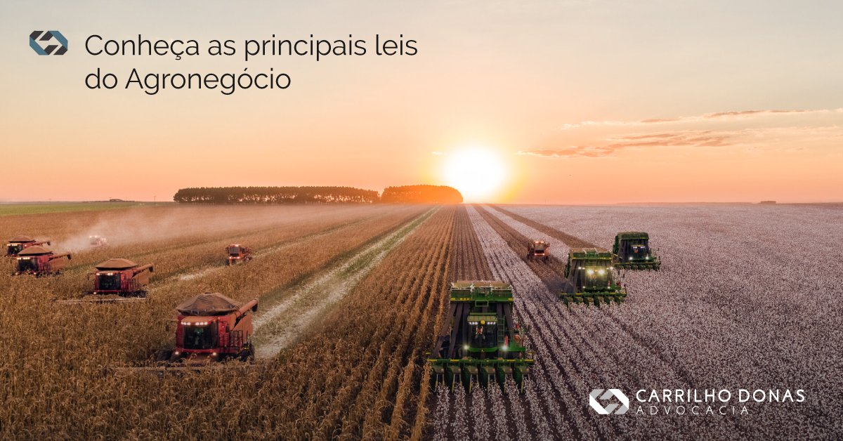 You are currently viewing Conheça as Principais leis do agronegócio